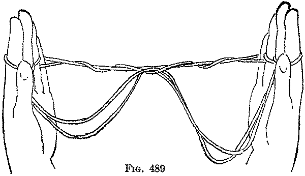 Fig. 489
