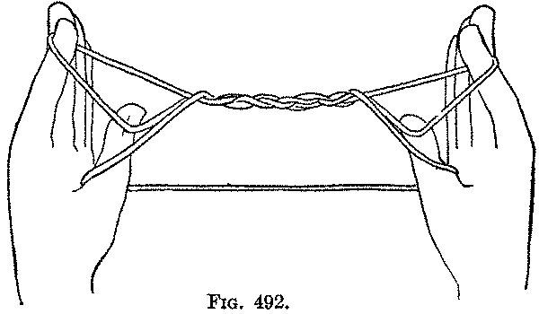 Fig. 492