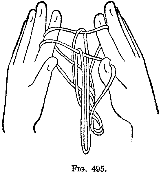 Fig. 495