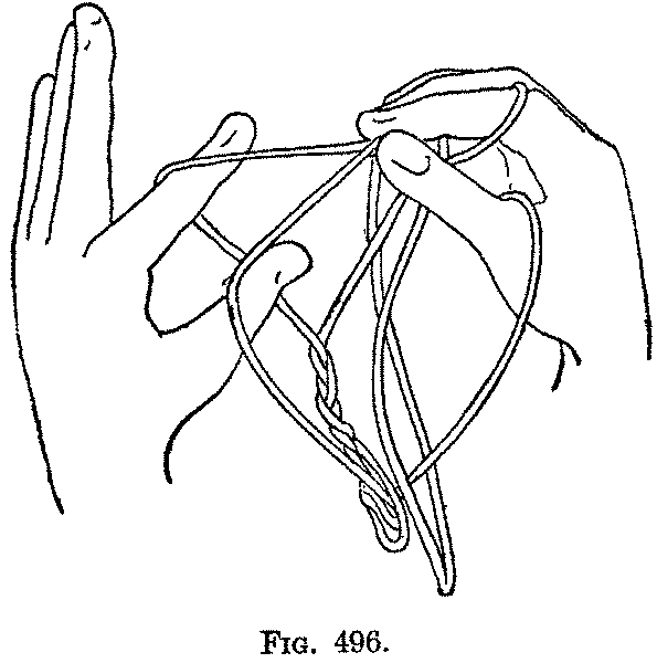 Fig. 496