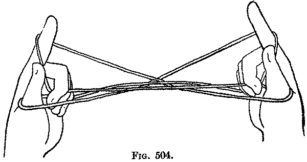 Fig. 504