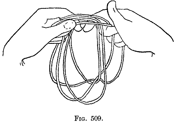 Fig. 509