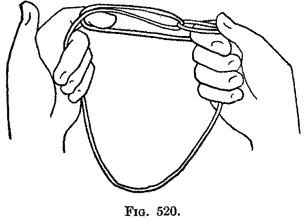 Fig. 520