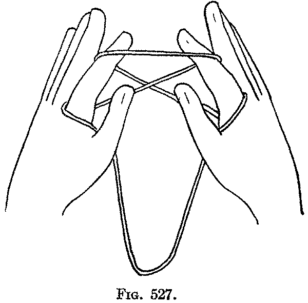 Fig. 527
