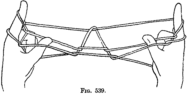 Fig. 539