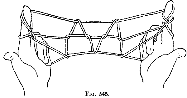 Fig. 545
