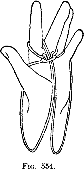 Fig. 554