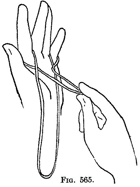 Fig. 565