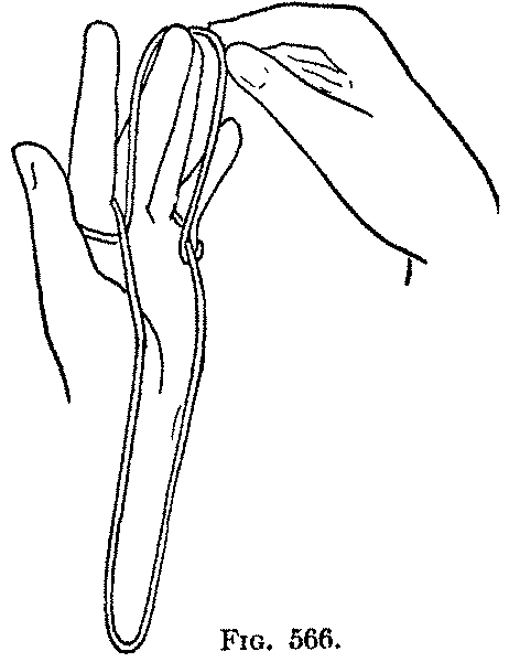Fig. 566