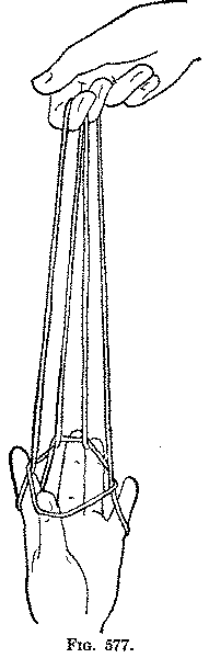 Fig. 577