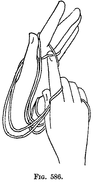 Fig. 586