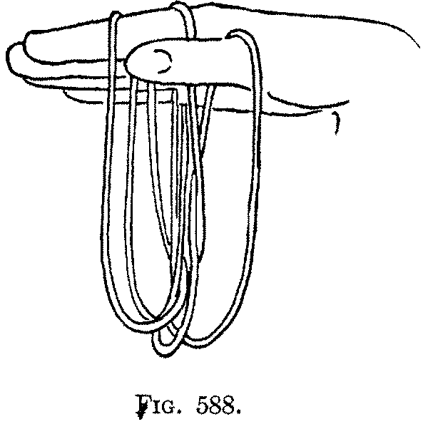 Fig. 588