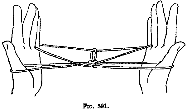 Fig. 591