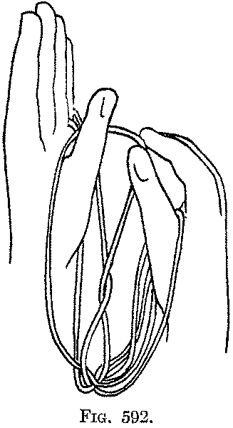 Fig. 592