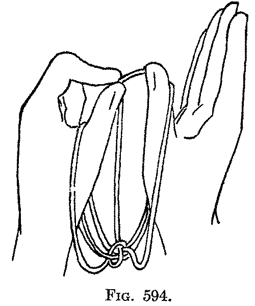 Fig. 594