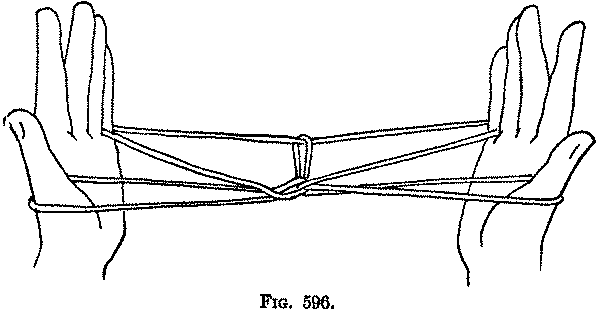 Fig. 596