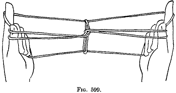 Fig. 599