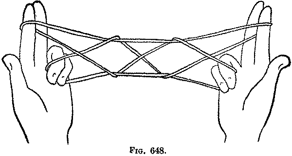 Fig. 648