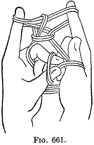 Fig. 661