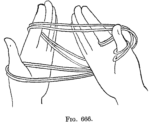 Fig. 666