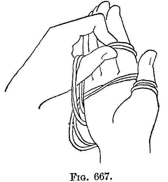 Fig. 667
