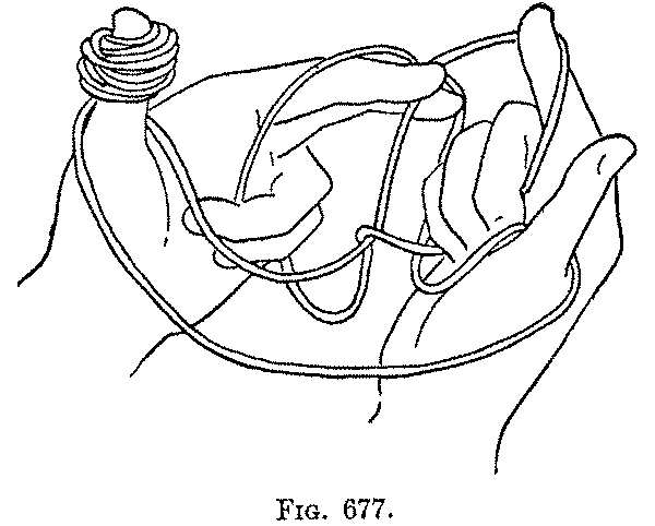 Fig. 677