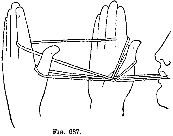 Fig. 687