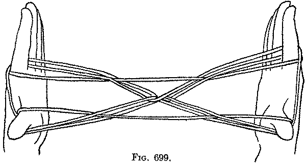 Fig. 699