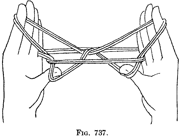Fig. 737