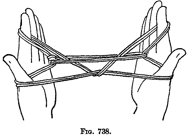 Fig. 738