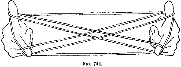 Fig. 744