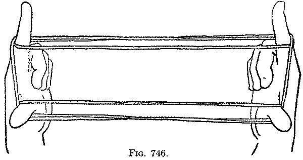 Fig. 746