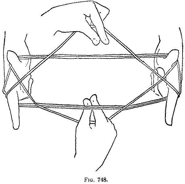 Fig. 748
