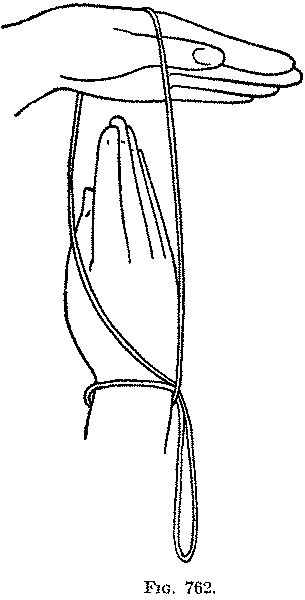 Fig. 762