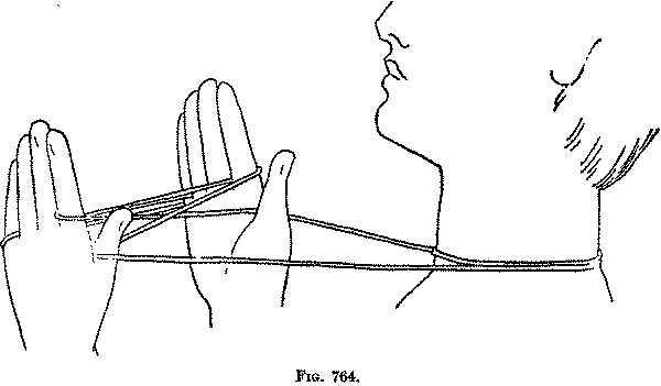 Fig. 764