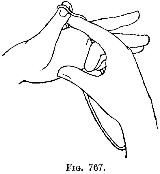 Fig. 767