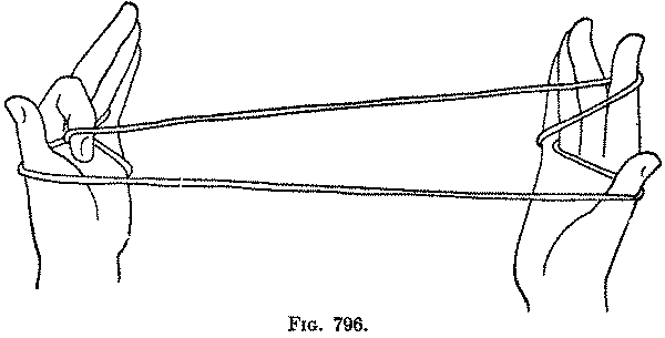 Fig. 796