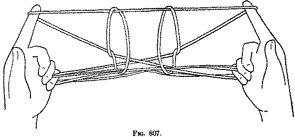 Fig. 807