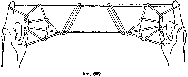 Fig. 809