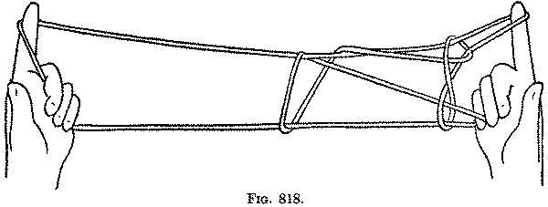 Fig. 818