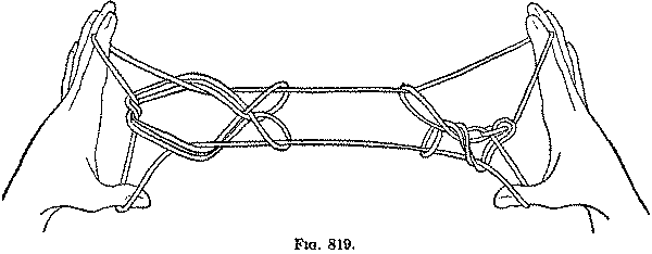 Fig. 819