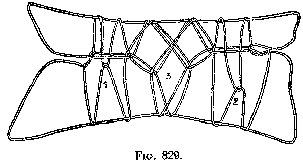 Fig. 829