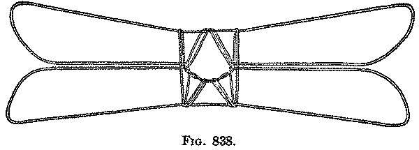 Fig. 838