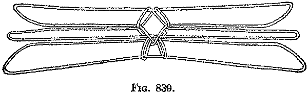 Fig. 839