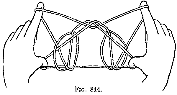 Fig. 844