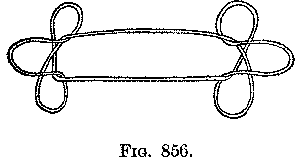 Fig. 856