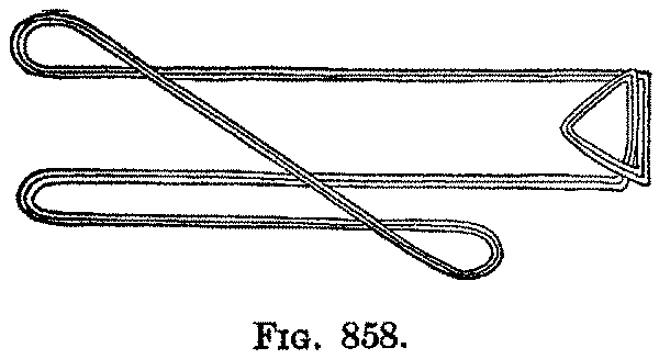 Fig. 858