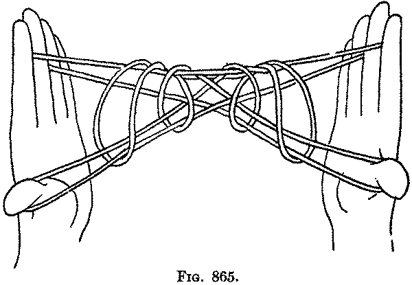 Fig. 865