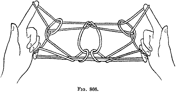 Fig. 866